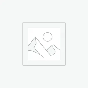 Electric Sewing Machine